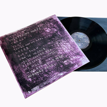 BED - everything hurts (vinyl)