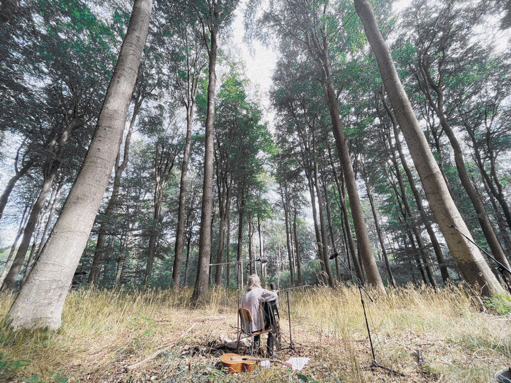 jeff-clarke-bretford-records-Locust-Forest